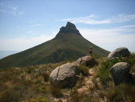 Picture of Lions Head