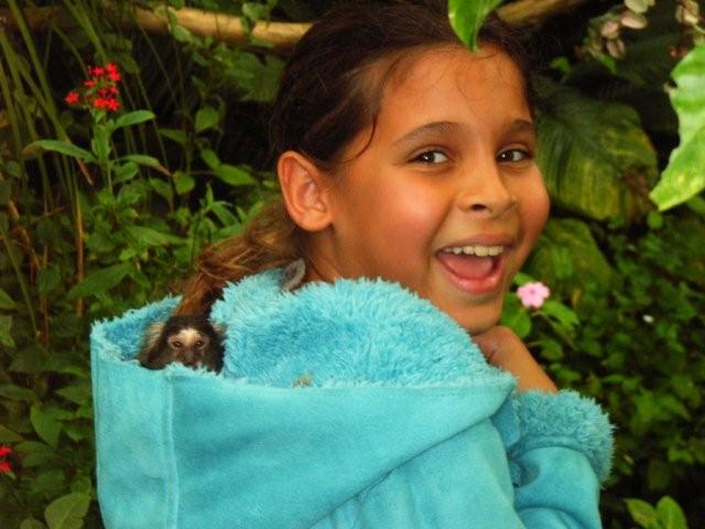 Monkey picture