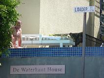 Cape Quarter roof pool on Cape Malay cottage