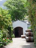 cellar of cape town south africa wine