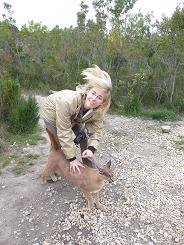 Caracal picture