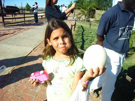 Picture of an ostrich egg