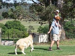 Danie and his son passing in front of the cottage